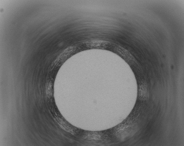 X0000086320820200704091110