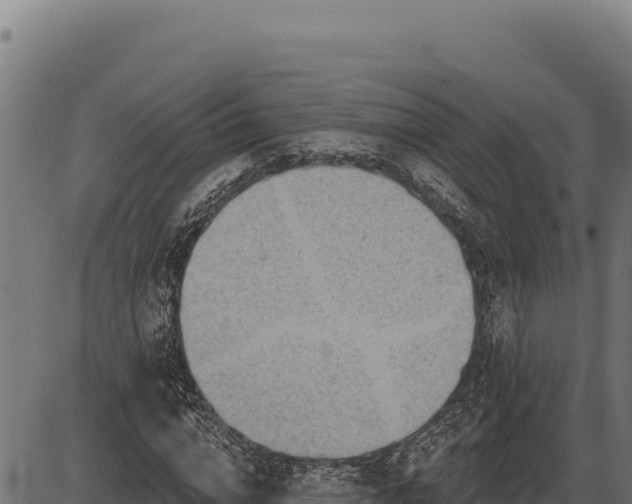 X0000086320824200704091110