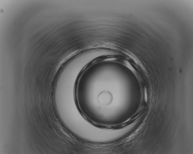 X0000086320826200704091110