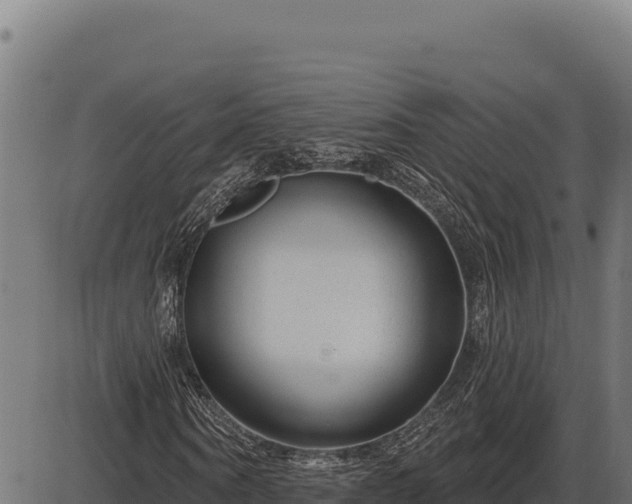 X0000086320866200704091110