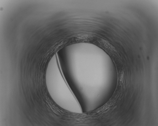 X0000086320868200704091110