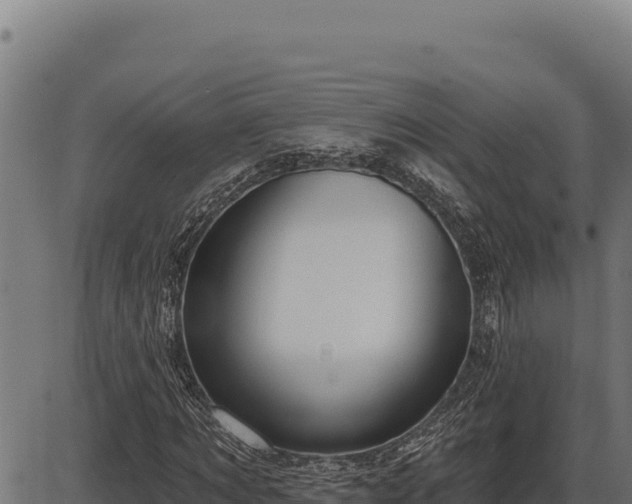 X0000086320869200704091110