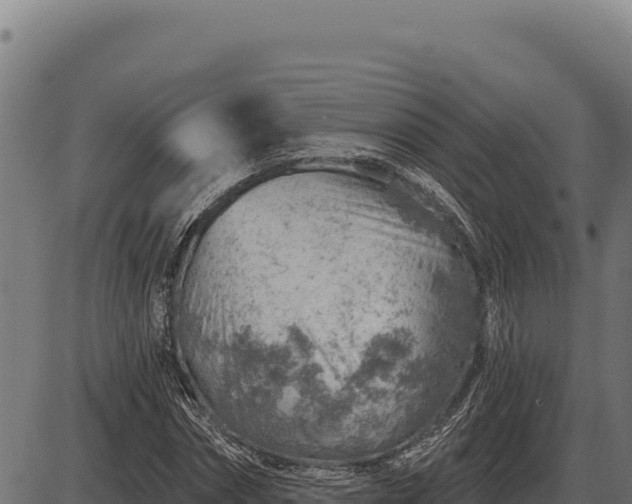 X0000086320874200704091110