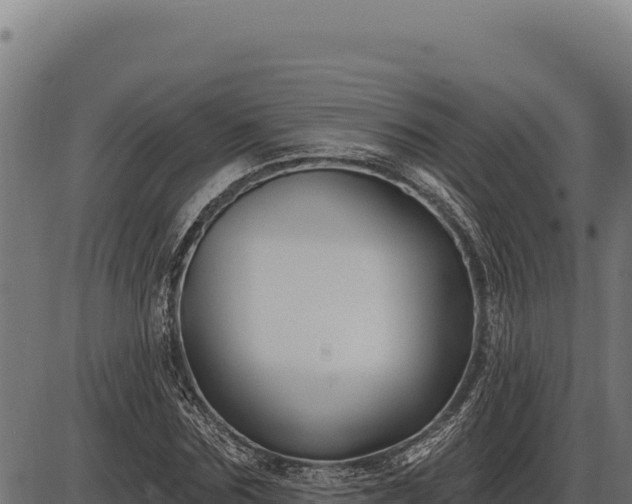 X0000086320875200704091110