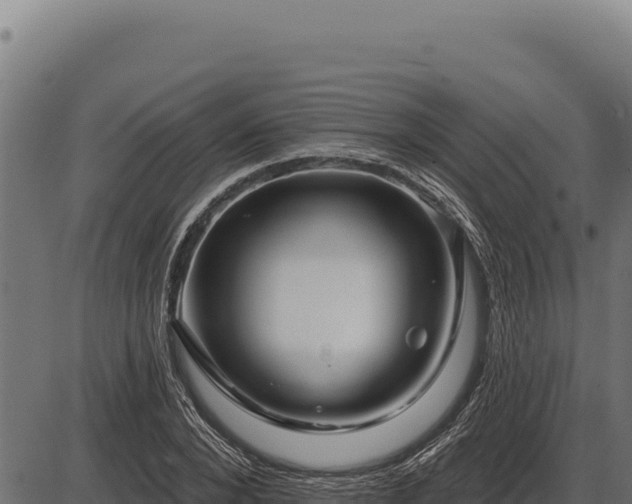 X0000086320880200704091110