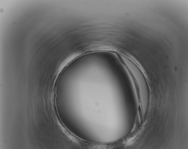 X0000086320909200704091109