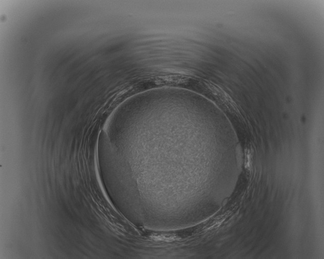 X0000086320915200704091108