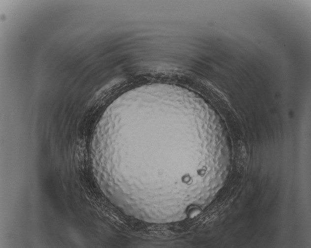 X0000086320918200704091108