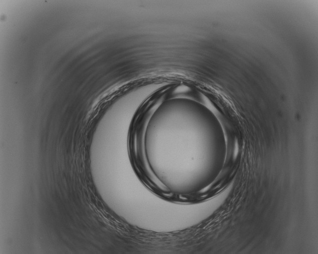 X0000086320920200704091108