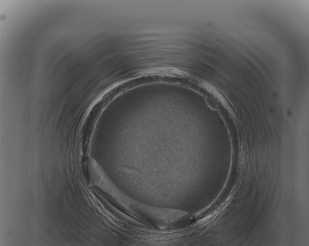 X0000086320923200704091108