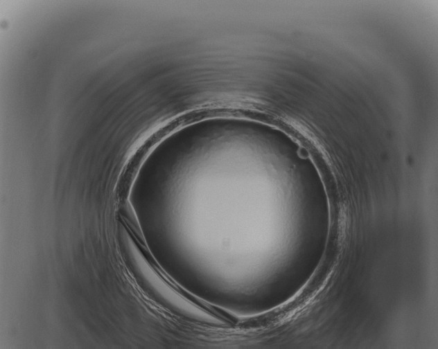 X0000086320925200704091108