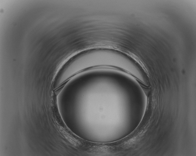 X0000086320926200704091109