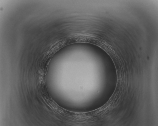 X0000086320964200704091108