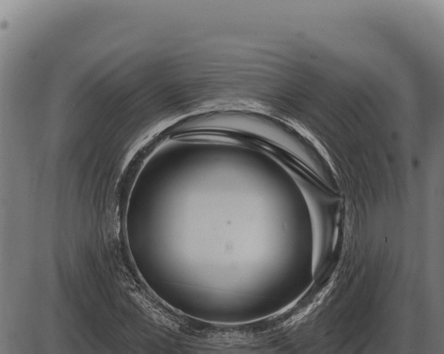 X0000086320973200704091108