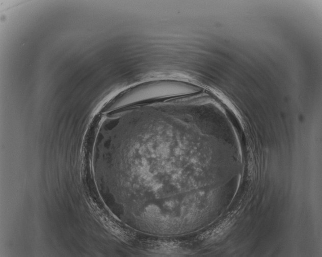 X0000086320975200704091108