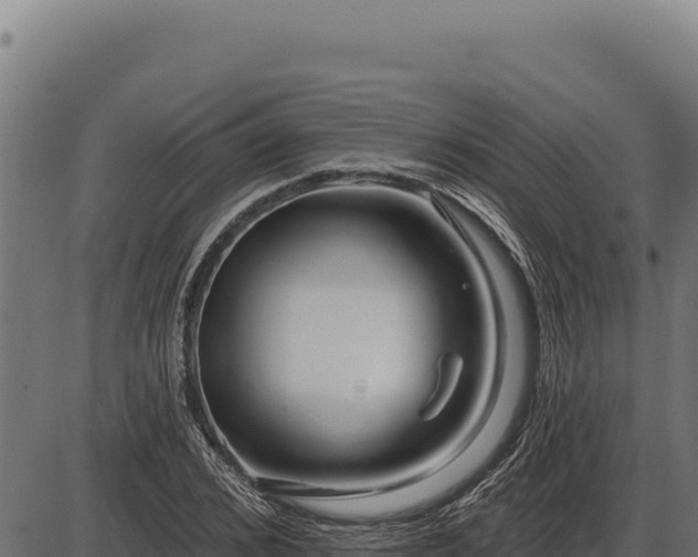 X0000086320976200704091108