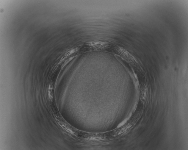 X0000086321010200704091107
