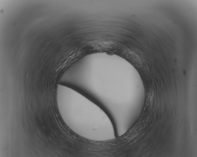 X0000086321012200704091107