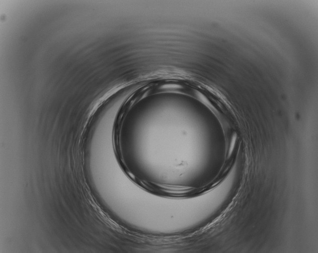 X0000086321018200704091107