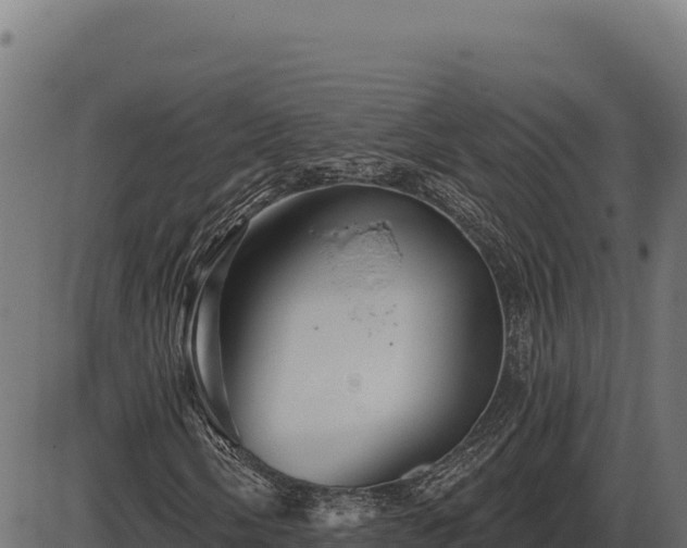 X0000086321058200704091107