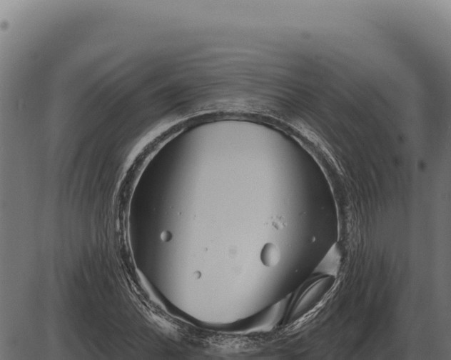 X0000086321070200704091106