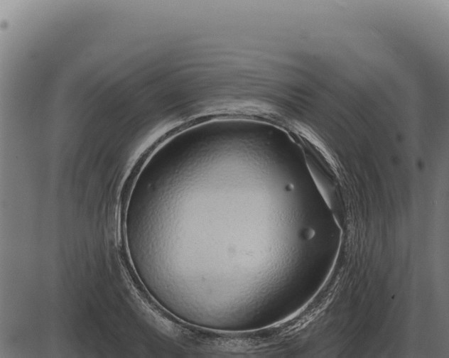 X0000086321079200704091106
