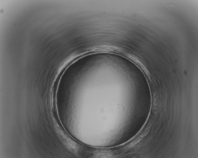 X0000086321083200704091106