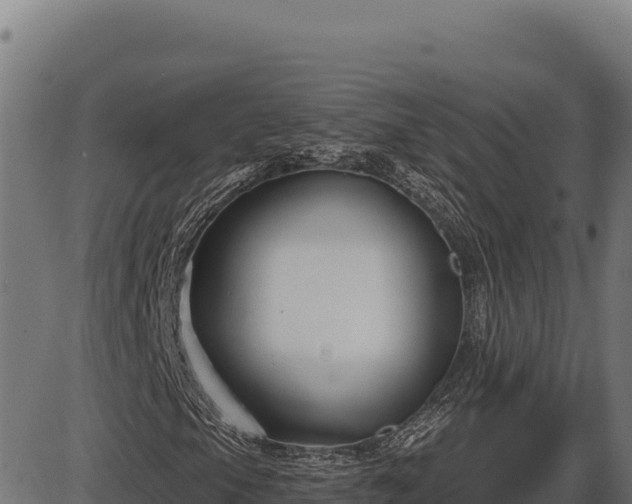X0000086321105200704091105