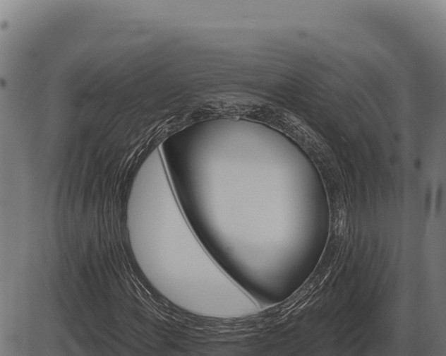X0000086321108200704091105