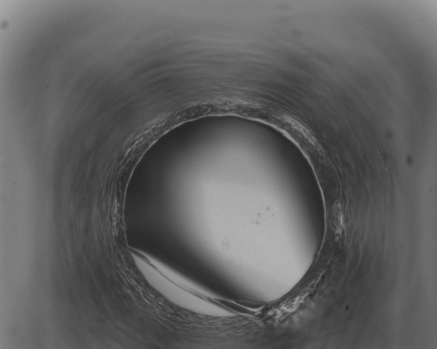 X0000086321111200704091105