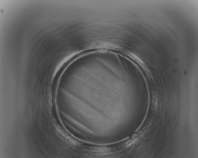 X0000086321120200704091105