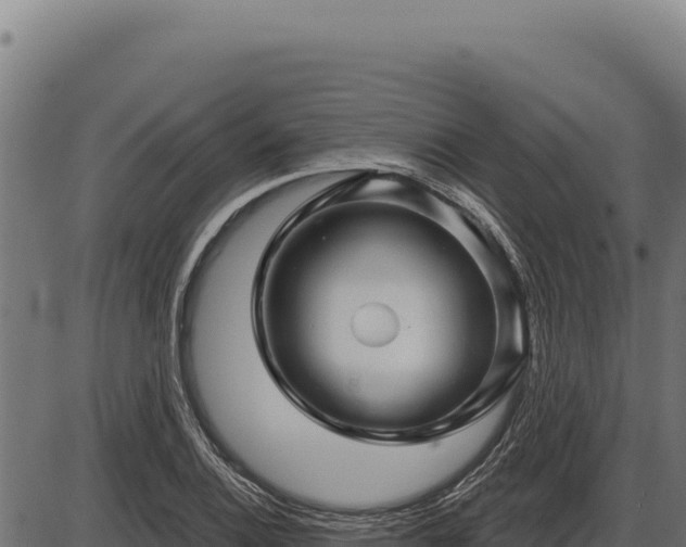 X0000086321124200704091105