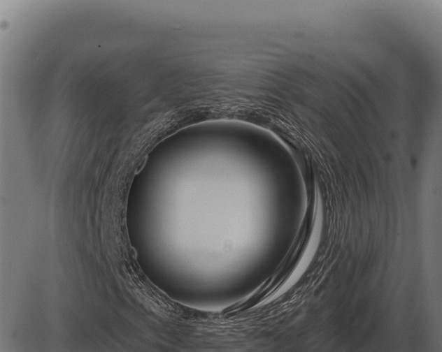 X0000086321153200704091105