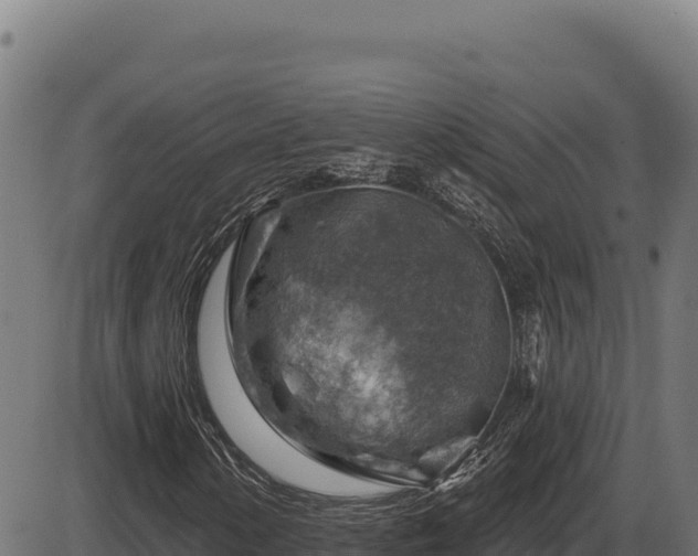 X0000086321154200704091105