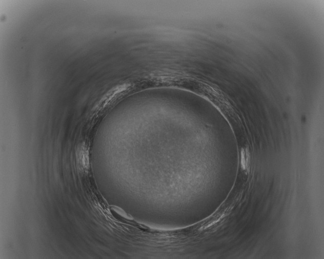 X0000086321155200704091105