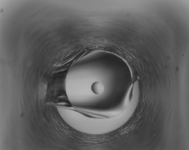 X0000086321156200704091105