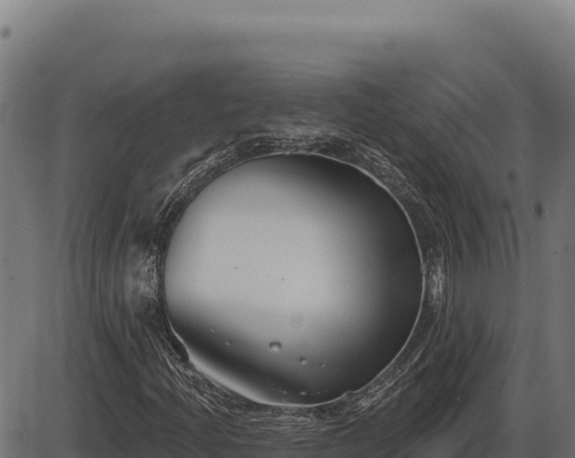 X0000086321204200704091104