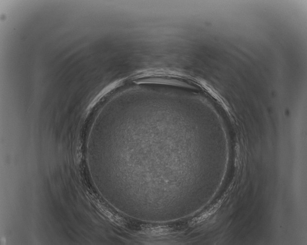 X0000086321213200704091104