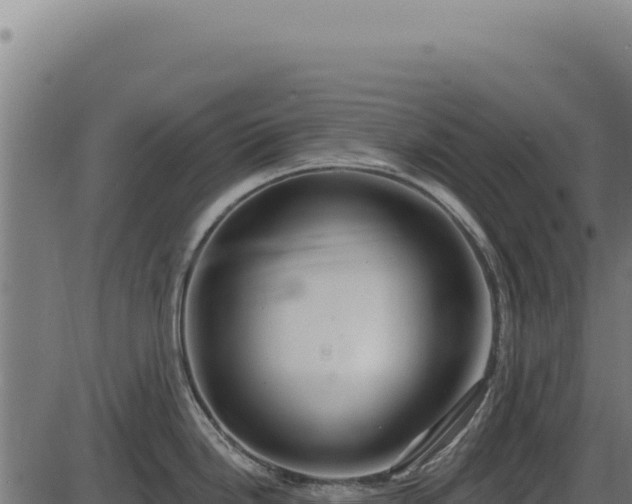 X0000086321246200704091104