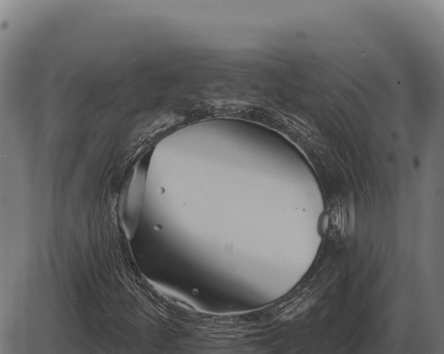 X0000086321252200704091103