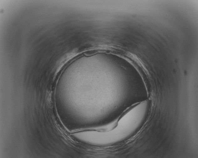 X0000086321260200704091103