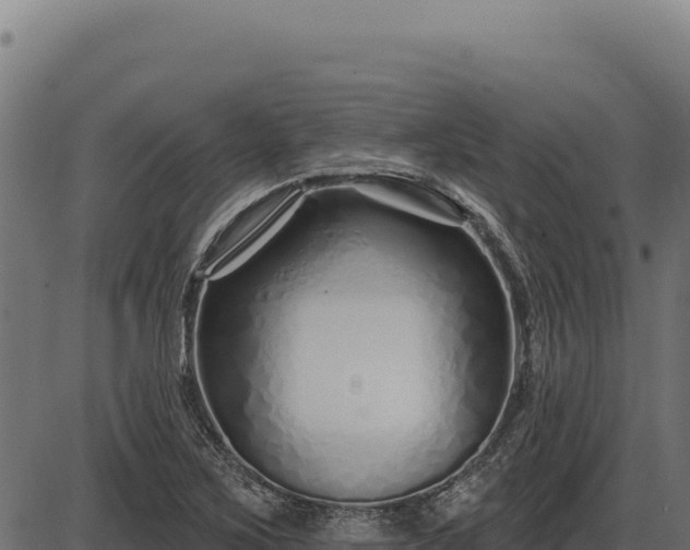 X0000086321267200704091103