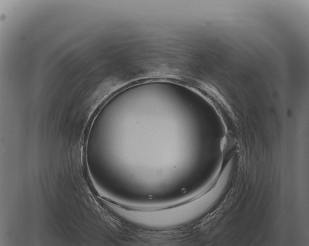 X0000086321268200704091103