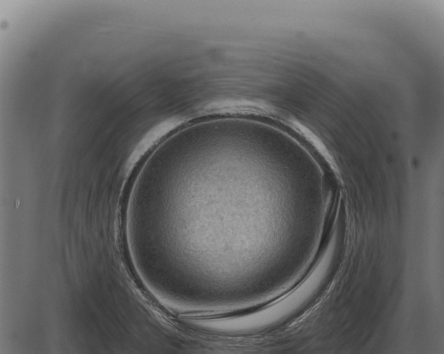 X0000086321277200704091103
