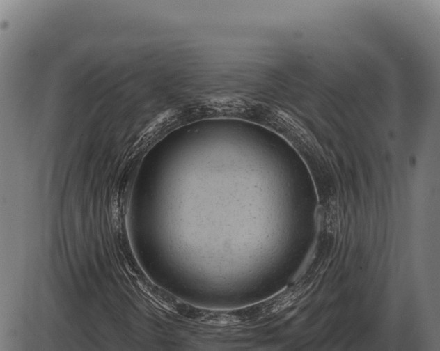 X0000086321298200704091102