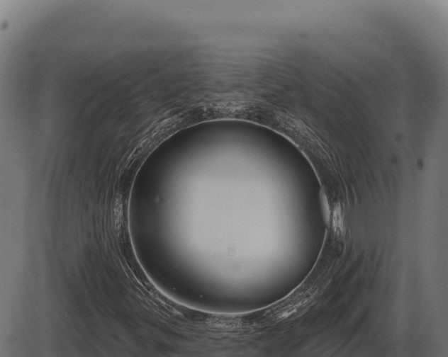 X0000086321299200704091102