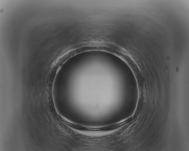 X0000086321304200704091102