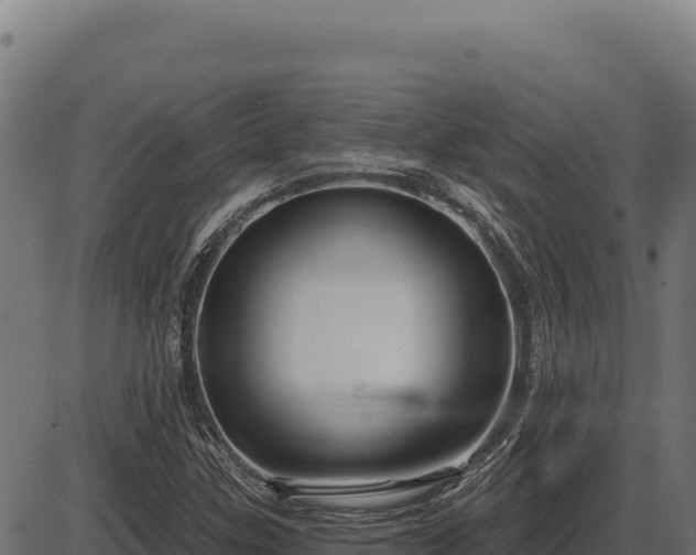 X0000086321307200704091102