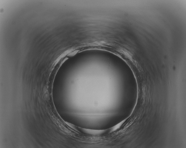 X0000086321308200704091102