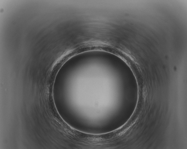 X0000086321309200704091102